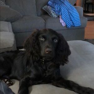 Meet your Posher, Courtlen